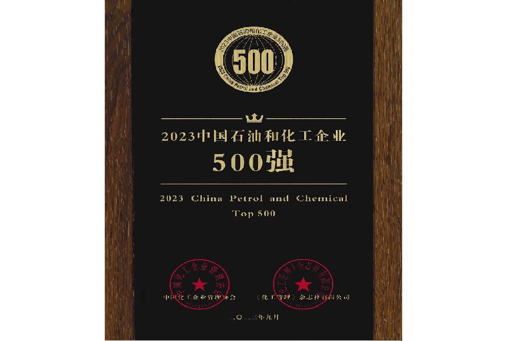 2023年石油和化工企業(yè)銷售收入500強(qiáng)